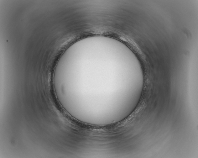 X0000112020066200908031050