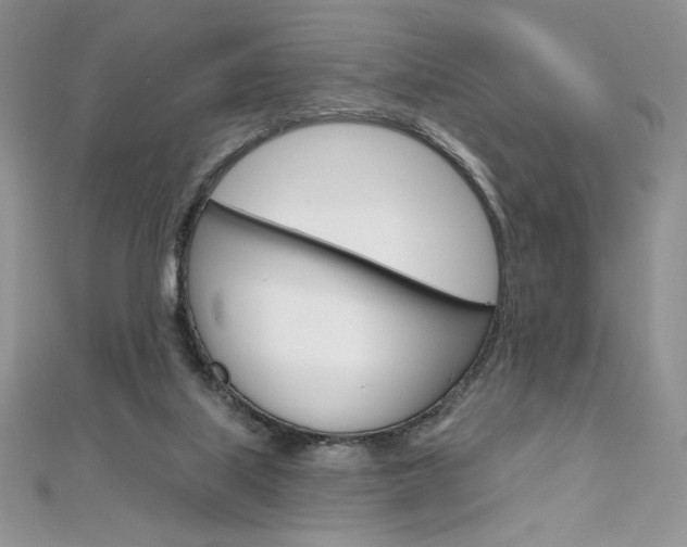 X0000112020067200908031050