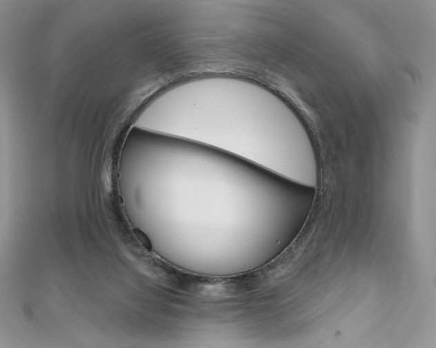 X0000112020068200908031050