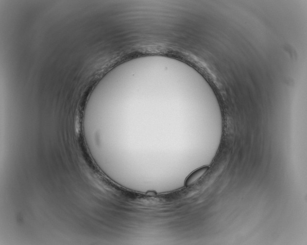 X0000112020069200908031050