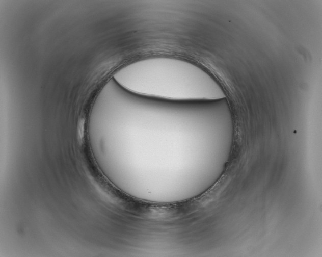 X0000112020070200908031050