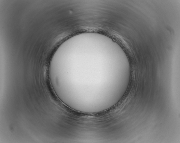 X0000112020071200908031050