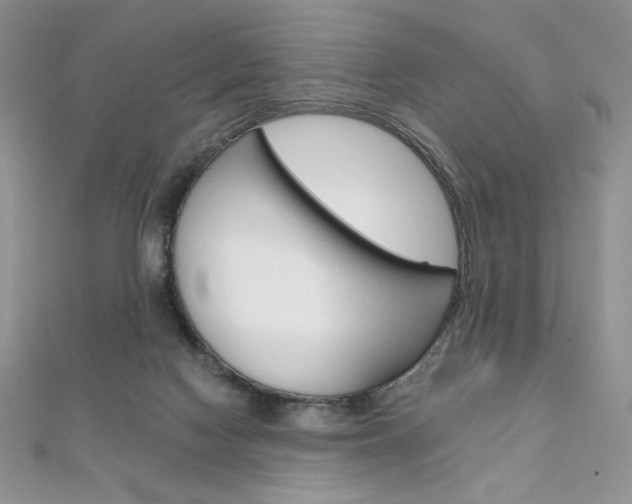 X0000112020074200908031050