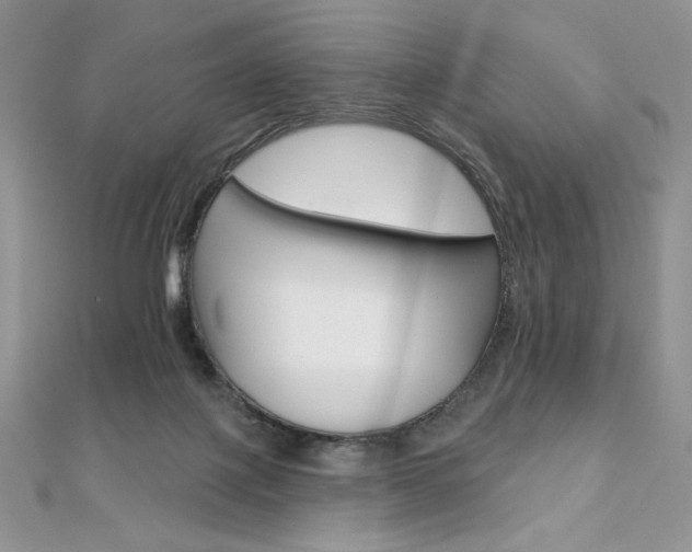 X0000112020075200908031050