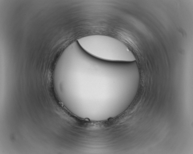 X0000112020077200908031050