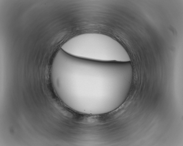 X0000112020078200908031050