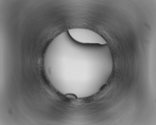 X0000112020079200908031050