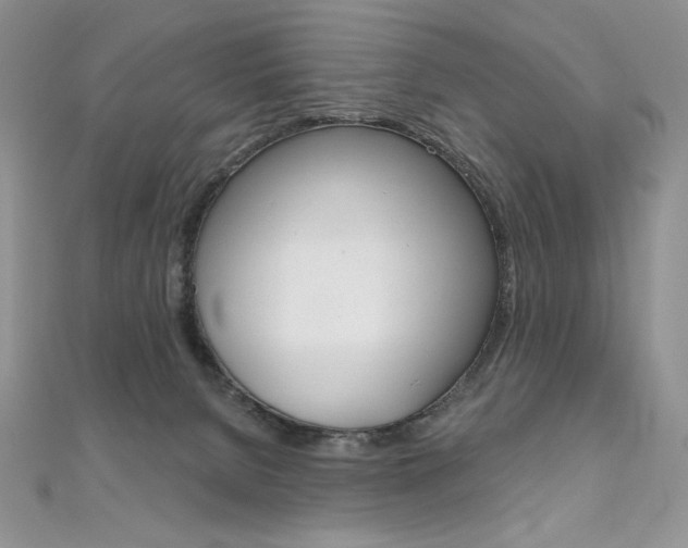 X0000112020080200908031050