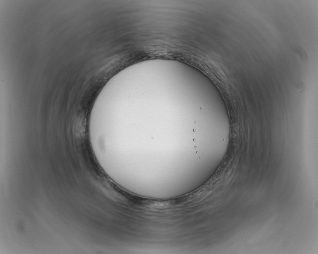 X0000112020081200908031050