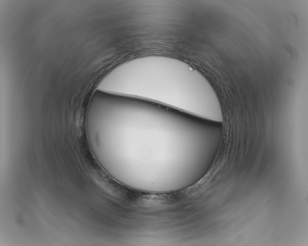 X0000112020082200908031050