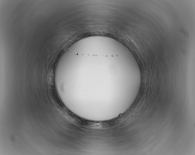 X0000112020083200908031050