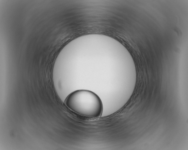 X0000112020084200908031050