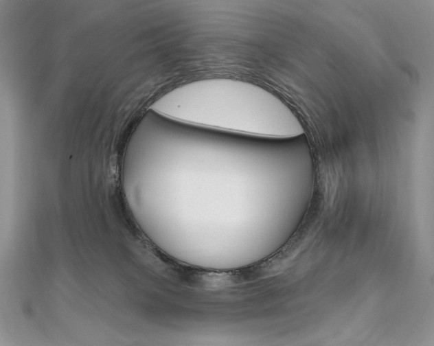 X0000112020085200908031050