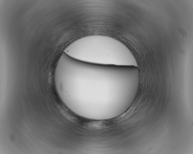 X0000112020086200908031050