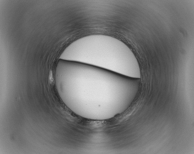 X0000112020089200908031050