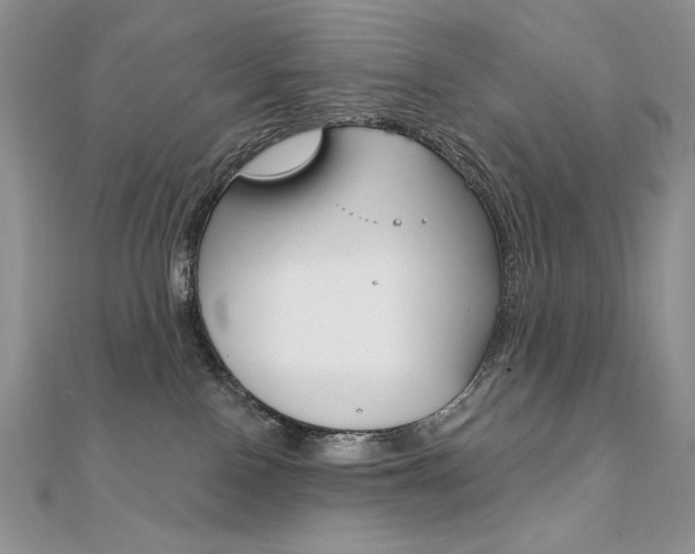 X0000112020090200908031050