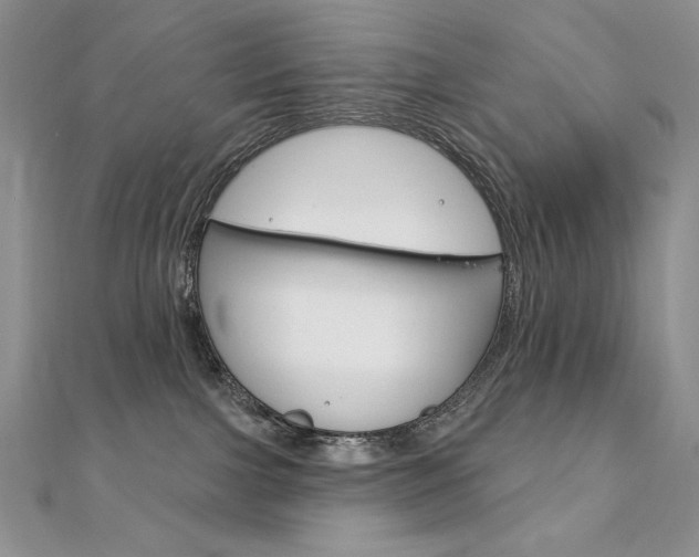 X0000112020091200908031050