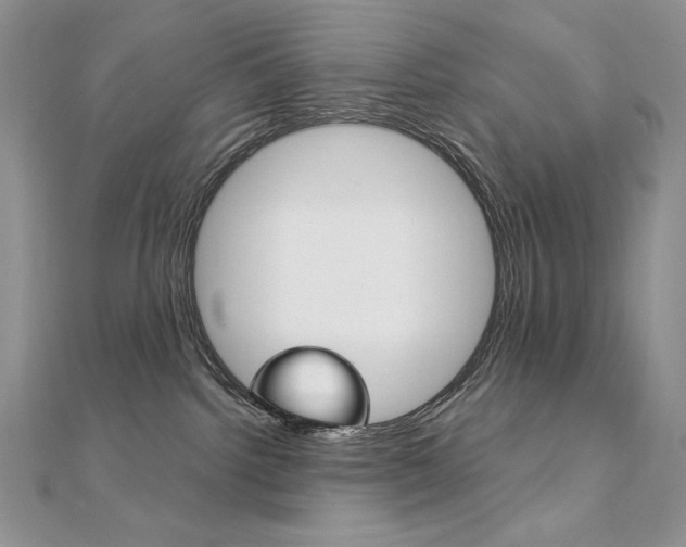 X0000112020092200908031050