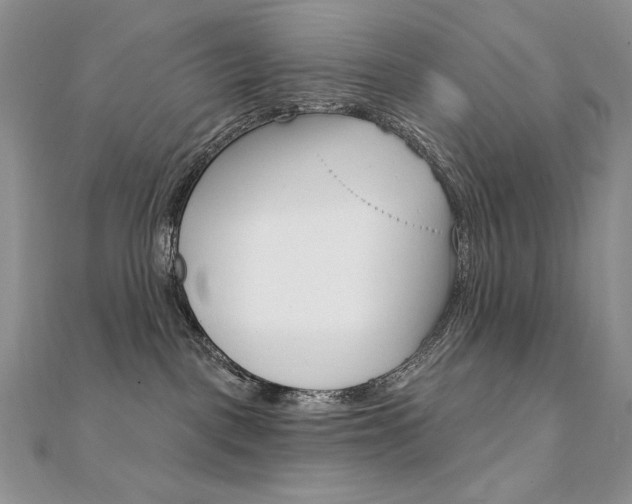 X0000112020093200908031050