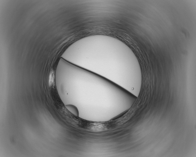 X0000112020095200908031050