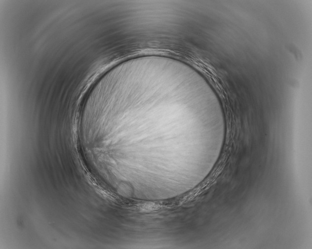 X0000112020098200908031050