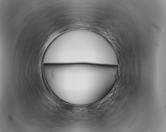 X0000112020099200908031050