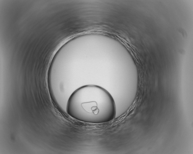 X0000112020100200908031050