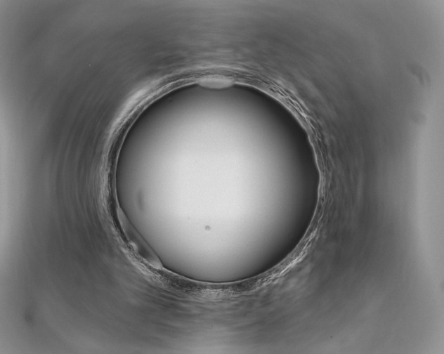 X0000112020101200908031050