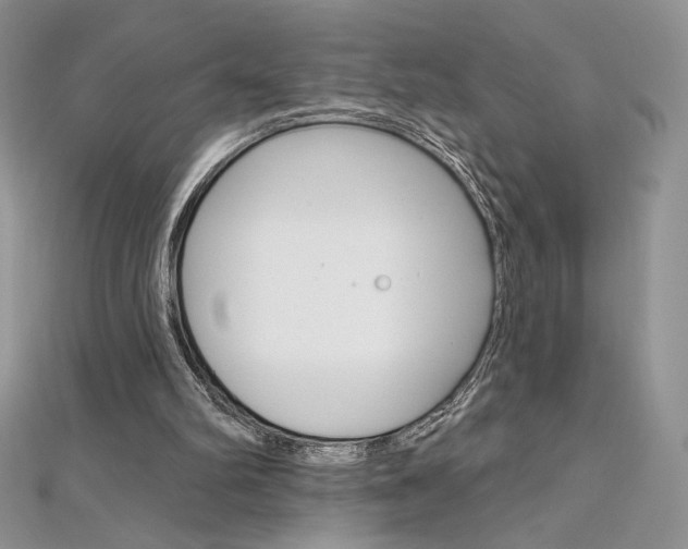 X0000112020102200908031050