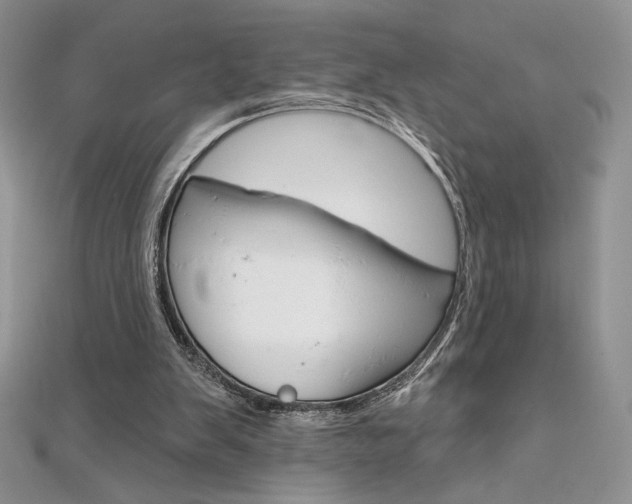 X0000112020103200908031050