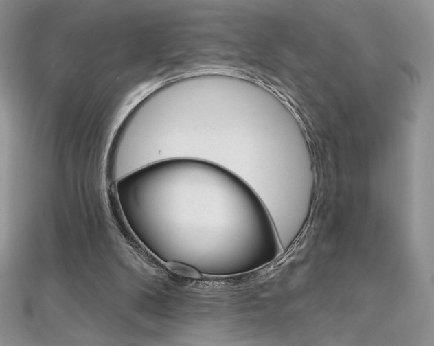 X0000112020104200908031050