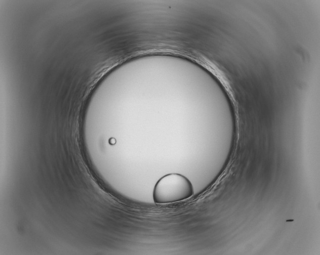 X0000112020105200908031050