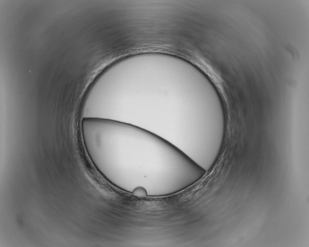 X0000112020107200908031050