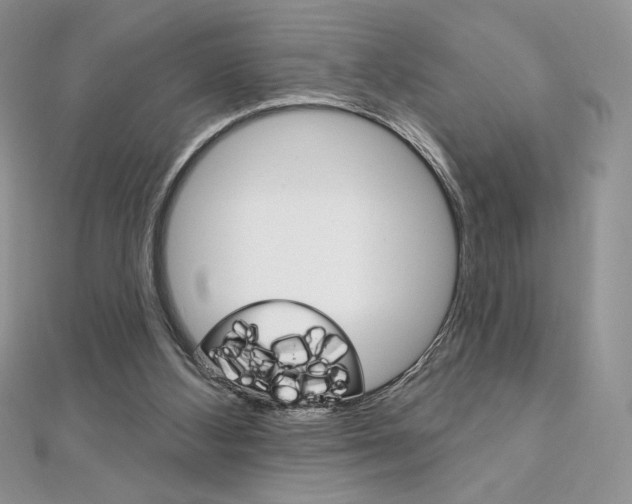 X0000112020108200908031050