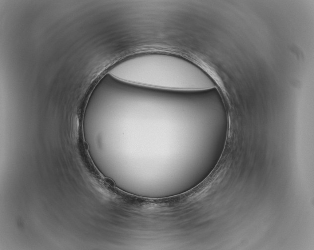 X0000112020109200908031050