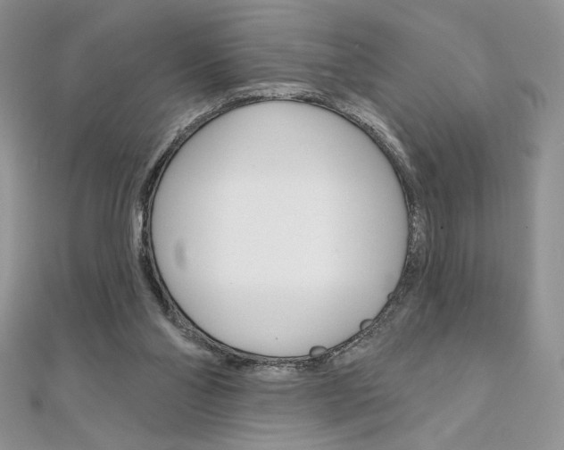 X0000112020110200908031050