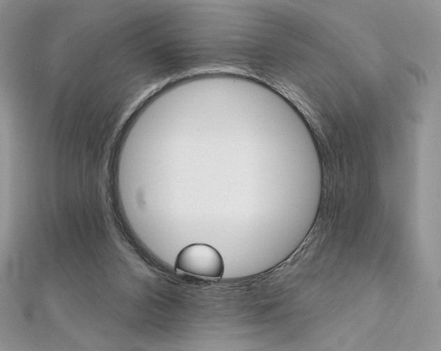 X0000112020112200908031049