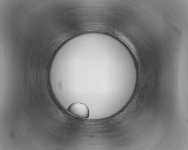 X0000112020113200908031049