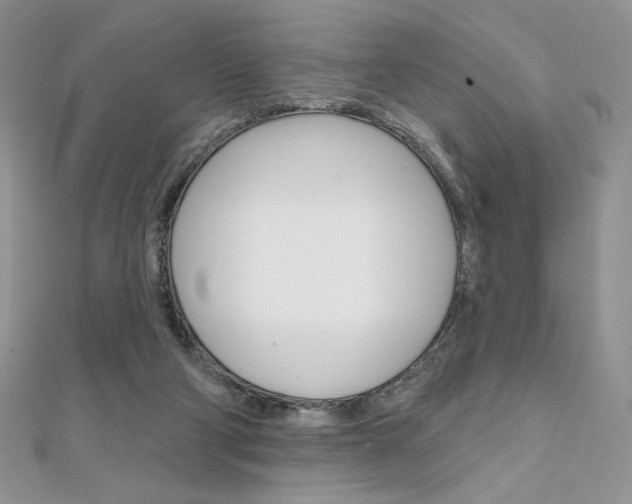 X0000112020114200908031049