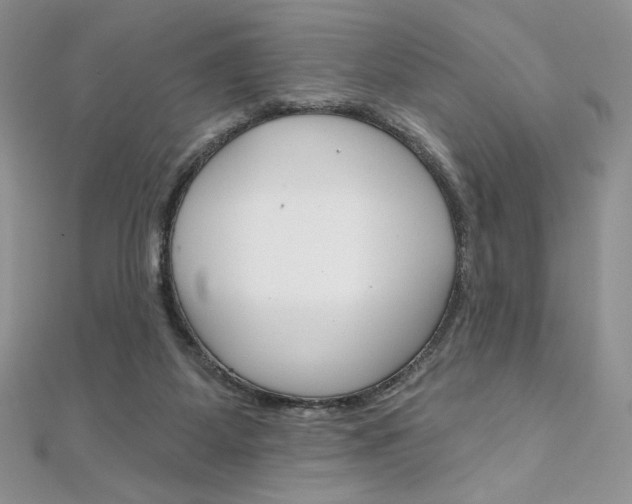 X0000112020115200908031049