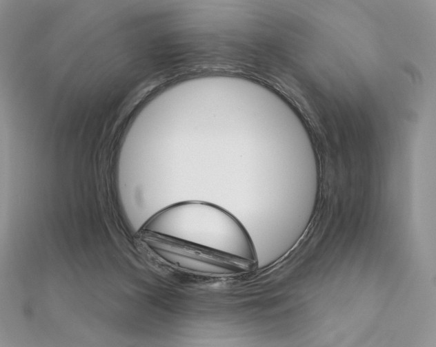 X0000112020116200908031049