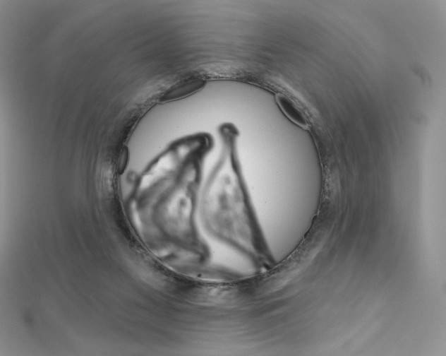 X0000112020117200908031049