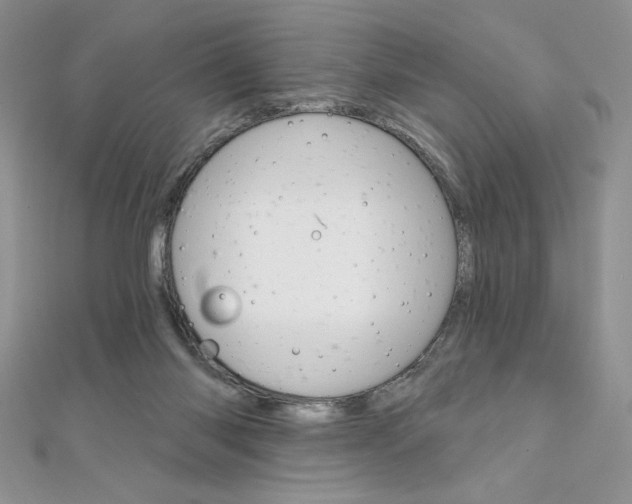 X0000112020118200908031049