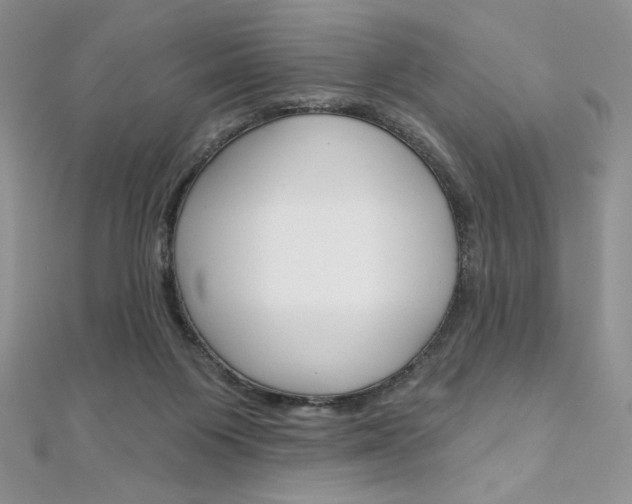 X0000112020119200908031049