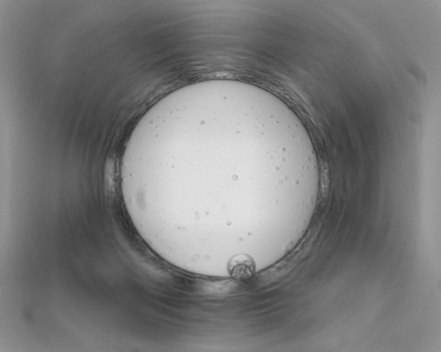 X0000112020122200908031049