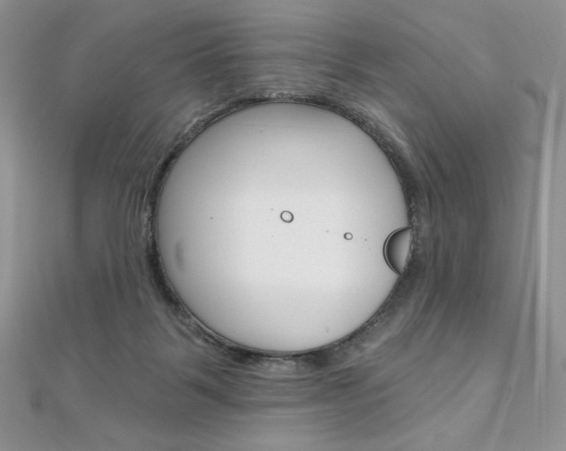 X0000112020123200908031049