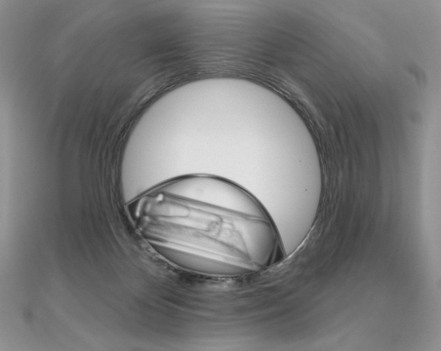 X0000112020124200908031049