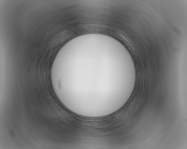 X0000112020125200908031049