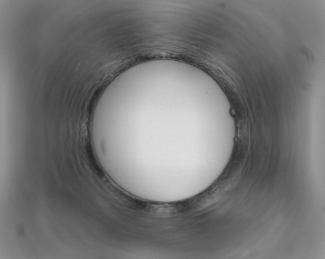 X0000112020127200908031049