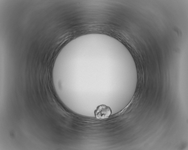 X0000112020128200908031049